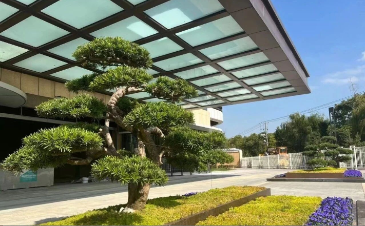 1763972520861676.png image.png