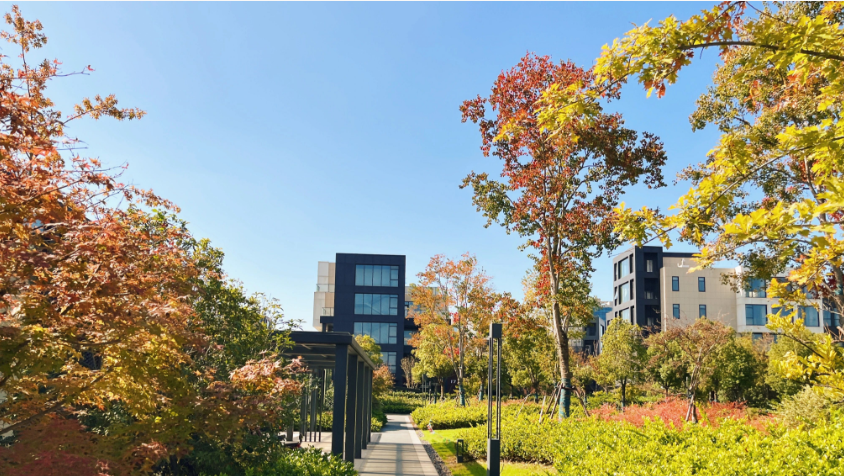 1763975633710616.png image.png