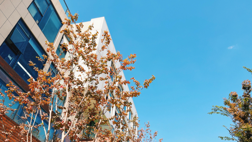 1763975839756346.png image.png