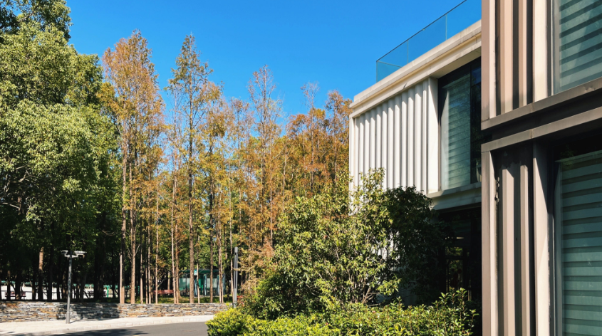 1763976192315162.png image.png