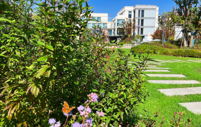 1763976210152178.png image.png