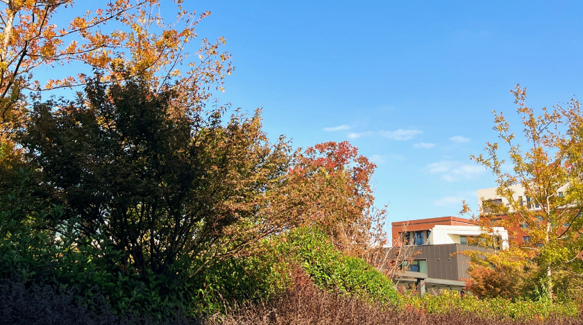 1763976247564827.png image.png