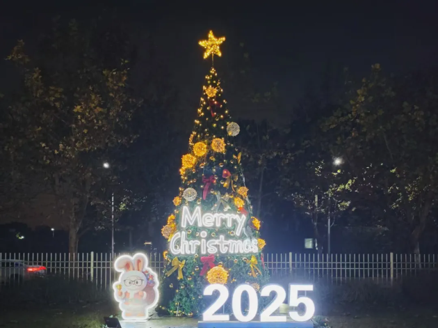 1766130543199827.png image.png