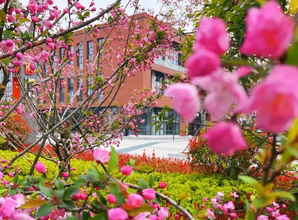 1773384591960459.png image.png