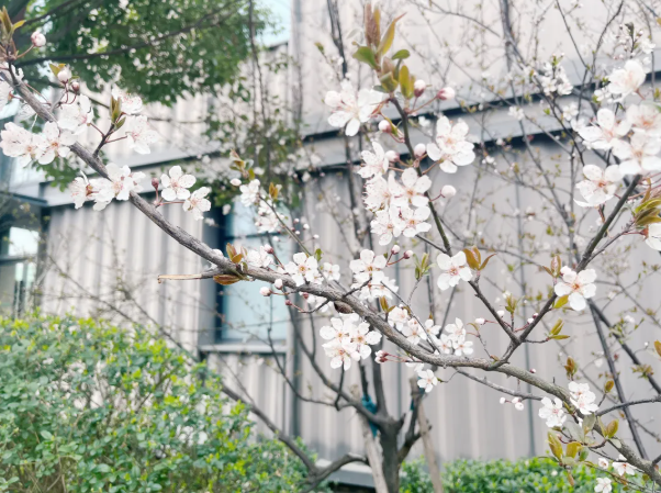 1773384633318069.png image.png