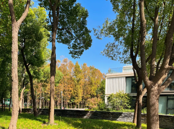 1773384648401294.png image.png