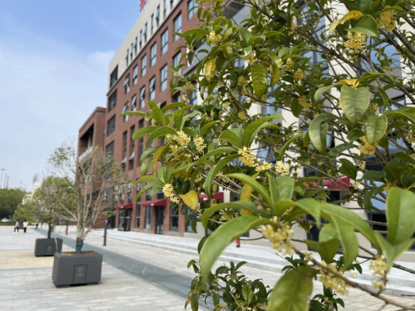 1773384675465124.png image.png